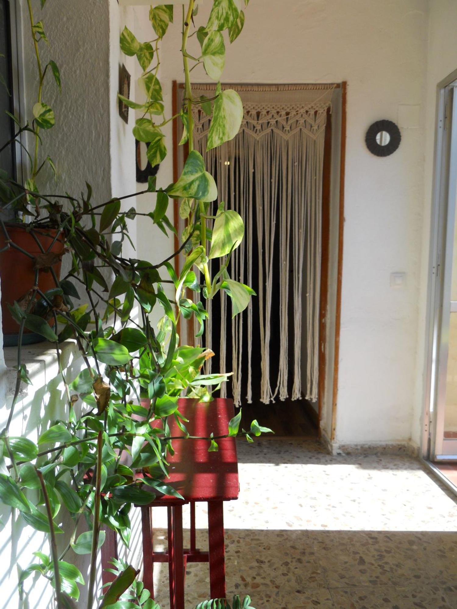 Naturalia: La Casita Con Patio Caces Exteriör bild